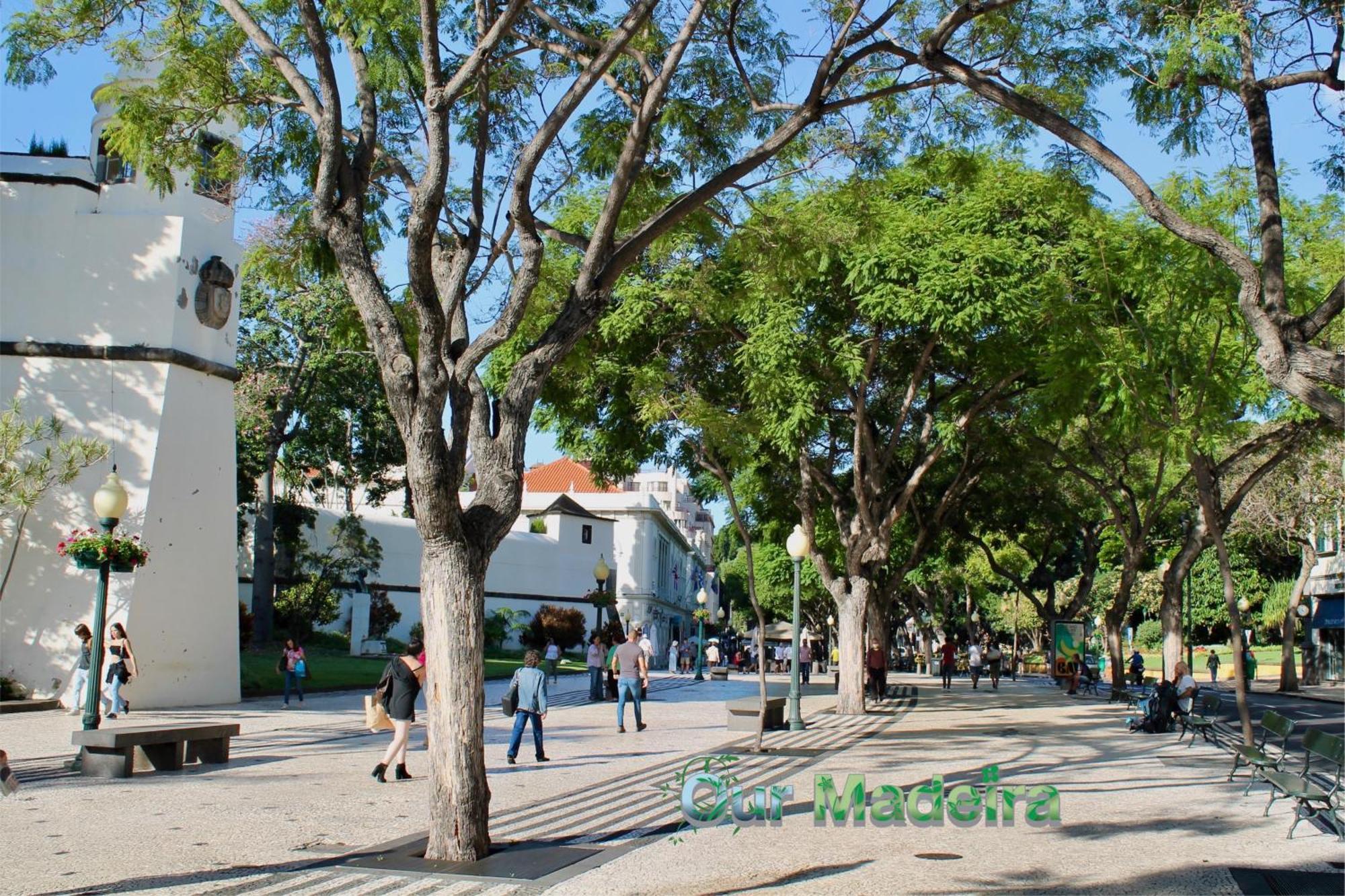 Ourmadeira - Heart Of Old Town I Apartment Funchal  Bagian luar foto